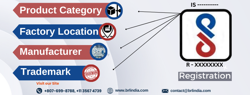 bis crs registration requirements